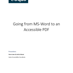 WCAG2.1 AA test thumbnail icon